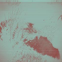 Internet is Your Only Friend