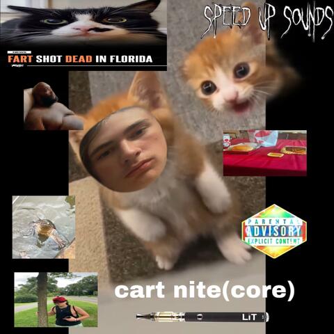 cartnite(core)
