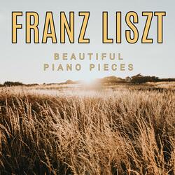 Tarantelle di bravura, S386: Franz Liszt