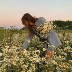 roslyn