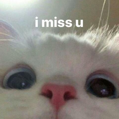 i miss u