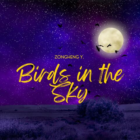 Birds in the Sky