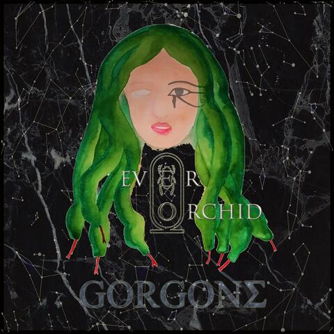 GorgonE
