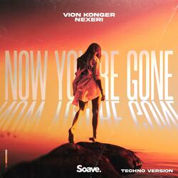 Now You're Gone