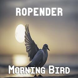 Morning Bird