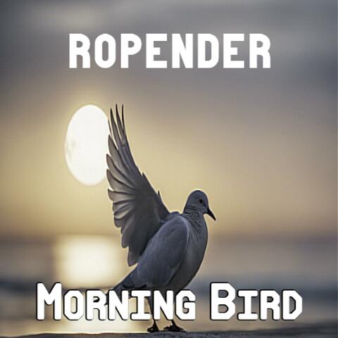 Morning Bird