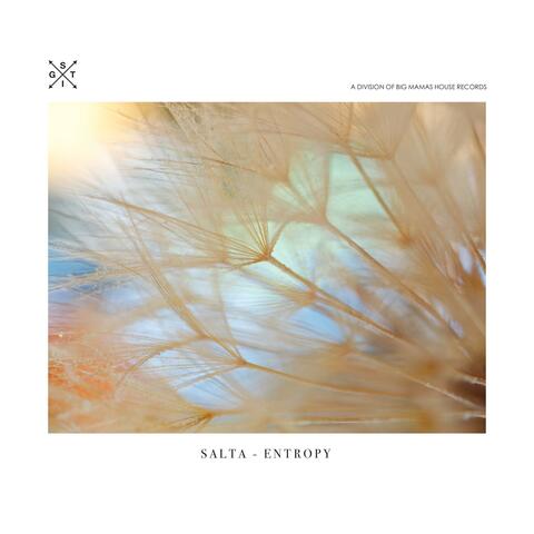 Entropy