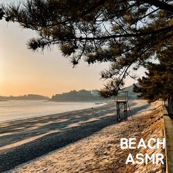 walk by the beach
