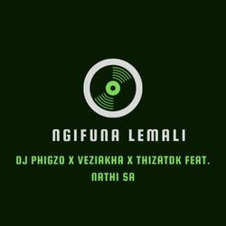 Ngifuna Lemali (feat. Nathi SA)