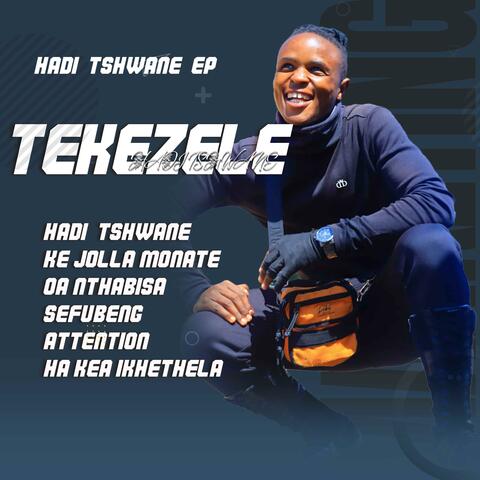 Hadi Tshwane