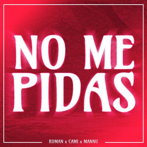 NO ME PIDAS