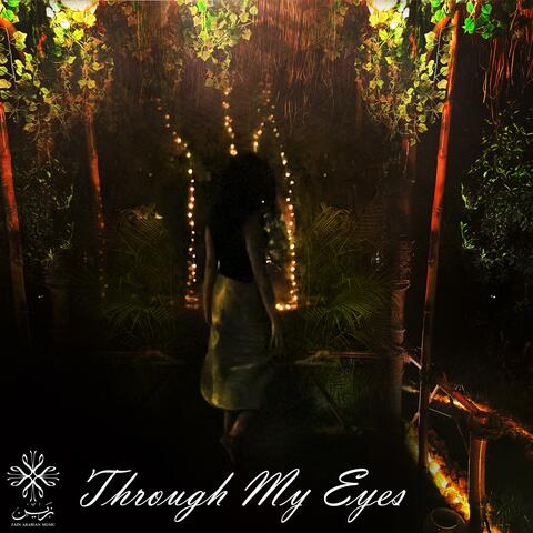 Through my eyes