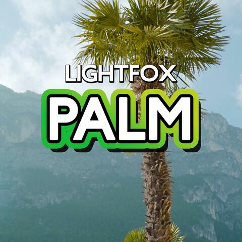 Palm