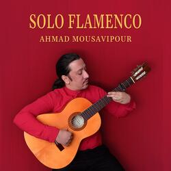 Solo Flamenco {Bulerias}