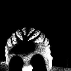 SIRE, A KODAK FREESTYLE