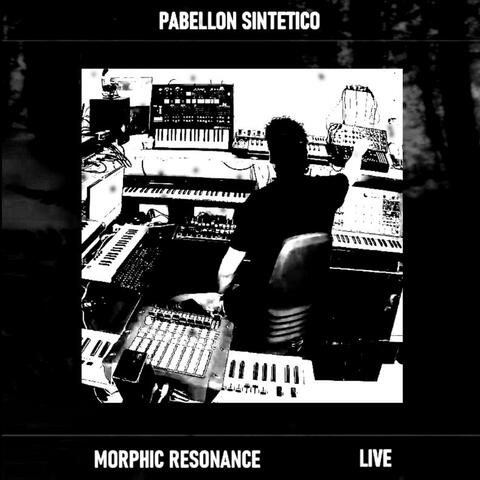 Morphic Resonance Live session 2023