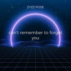 can't remember to forget you (Hardstyle)