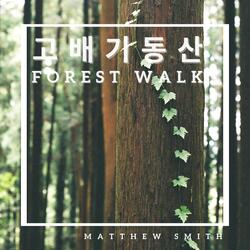 고배기동산 · forest walk