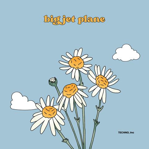 big jet plane - Techno