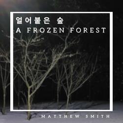 a frozen forest