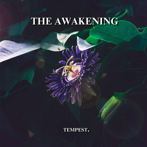 The Awakening