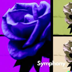 Symphony