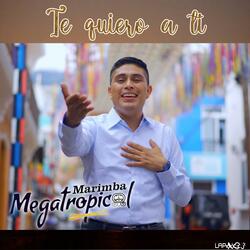 Te quiero a ti