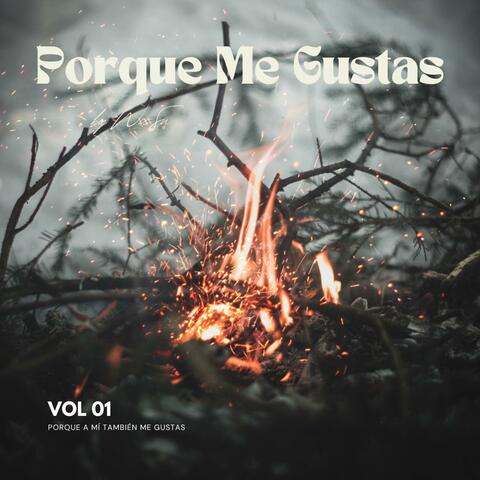 Porque Me Gustas, Vol. 1: Porque a mí también me gustas