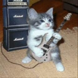 It was just a matter of time before I downloaded meowsynth