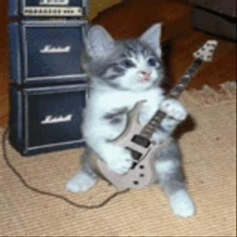 It was just a matter of time before I downloaded meowsynth