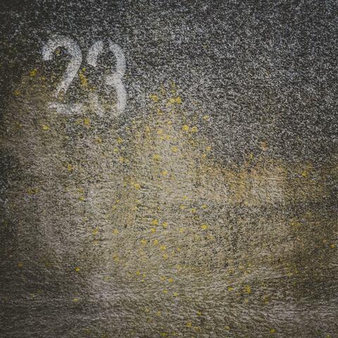 23
