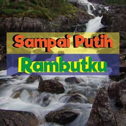 Sampai Putih Rambutku