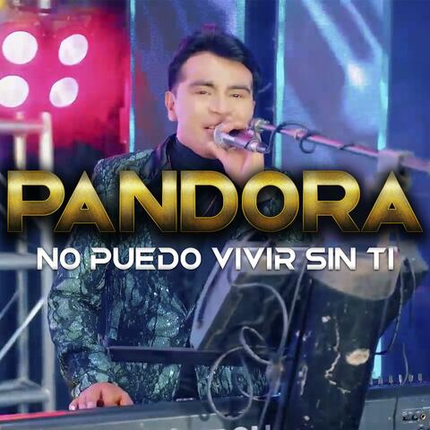 No puedo vivir sin ti