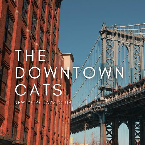 The Downtown Cats