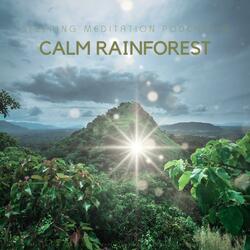Rainforest Dreamland Delight