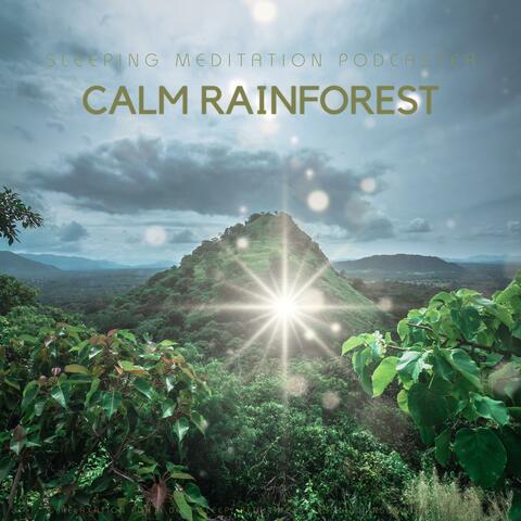 Calm Rainforest