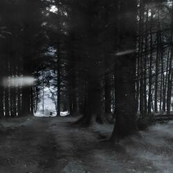 The Seer