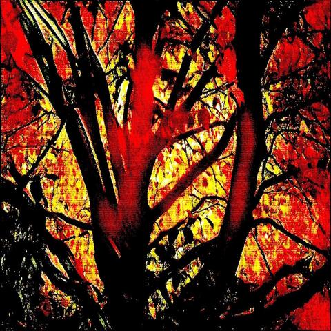 Fields On Fire