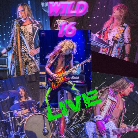 Wild 16