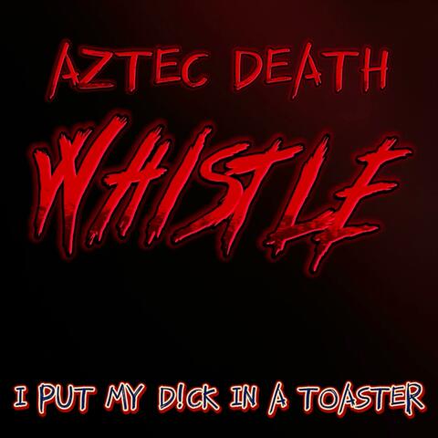 I Put My Dick in a Toaster