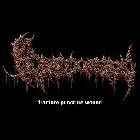 Fracture Puncture Wound