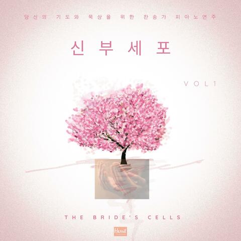 신부세포(찬송가.피아노솔로.ver1)