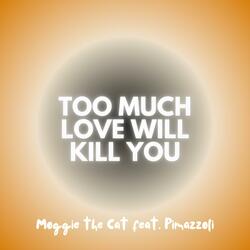 Too Much Love Will Kill You (feat. Pimazzoli)