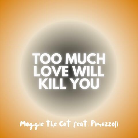 Too Much Love Will Kill You (feat. Pimazzoli)