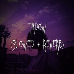 tadow