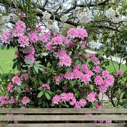 On The First Day Of Spring