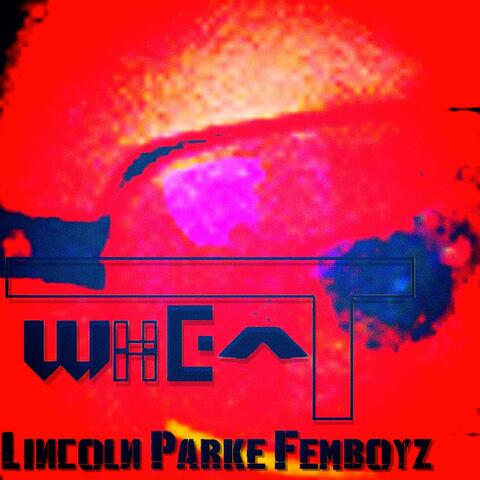 LINCOLN PARKE FEMBOYZ