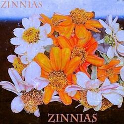 SPACE ZINNIAS