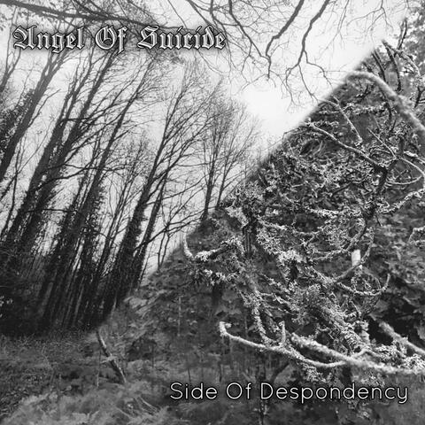 Cold Trees From The Past