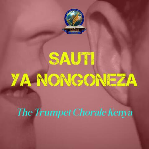 Sauti Ya Nongoneza